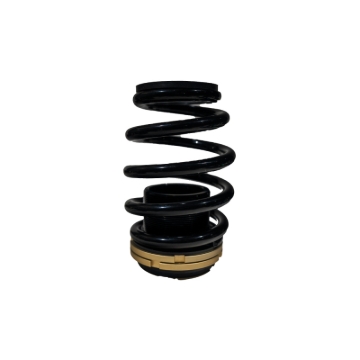 Picture of BLOX Racing BX Plus Coilovers - BXSS-00120