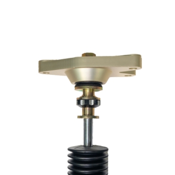 Picture of BLOX Racing BX Plus Coilovers - BXSS-00705