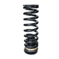 Picture of BLOX Racing BX Plus Coilovers - BXSS-00705