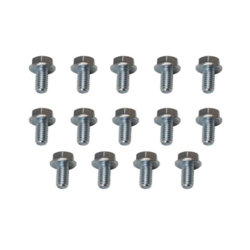Picture of Moroso MOR Bolts - 38780