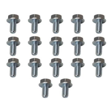 Picture of Moroso MOR Bolts - 38782
