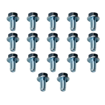 Picture of Moroso MOR Bolts - 38781