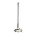 Picture of Supertech SPT Exhaust Valves - BMEVI-1054S-HS-1