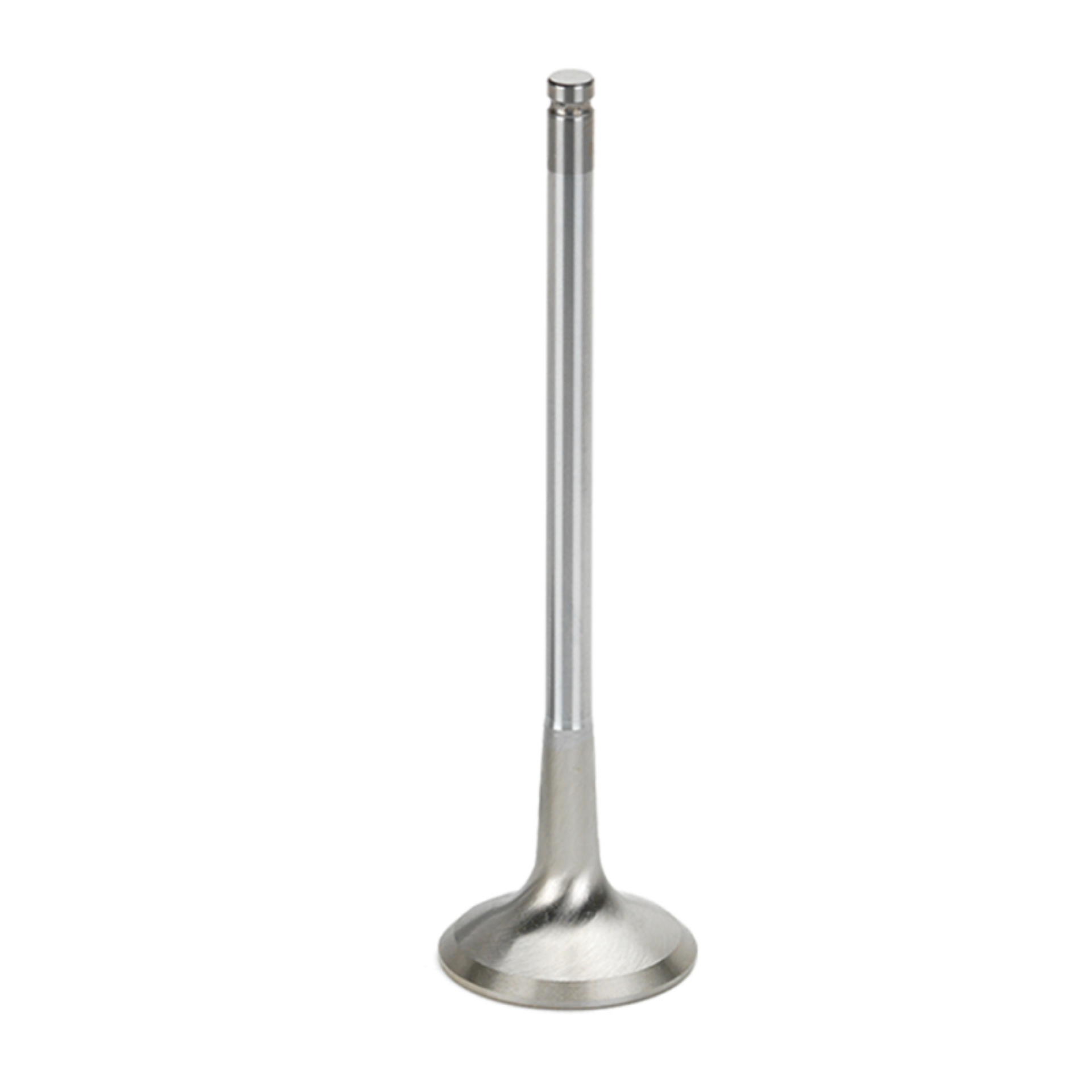 Picture of Supertech SPT Exhaust Valves - BMEVI-1054S-HS-1