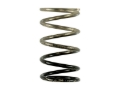 Picture of Turbosmart TS Wastegate Springs - TS-0600-2006