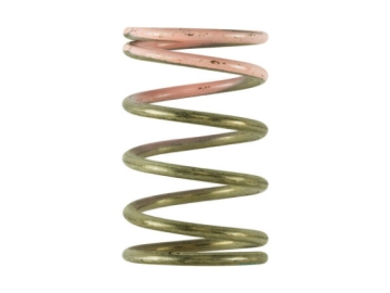 Picture of Turbosmart TS Wastegate Springs - TS-0600-2008
