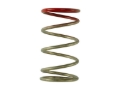 Picture of Turbosmart TS Wastegate Springs - TS-0600-2009