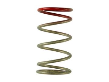 Picture of Turbosmart TS Wastegate Springs - TS-0600-2009