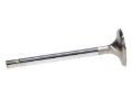 Picture of Race  Ford 2300 Ex. Vlv - 1.590 in. Head Dia., 4.800 in. O/A , 0.3415 in. Stem