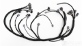 Picture of Rywire RYW Budget Engine Harnesses Wiring Harnesses - RY-B2-OEM