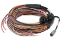 Picture of Haltech HAL Flying Lead Harnesses Wiring Harnesses - HT-188000