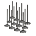 Picture of Supertech SPT Intake Valves - SIVN-1043-12