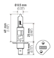 Picture of HELLA H1 Standard Series Halogen Light Bulb