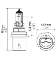 Picture of HELLA HB1 Design Series Halogen Light Bulb