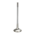 Picture of Supertech SPT Exhaust Valves - VWEVI-1002T