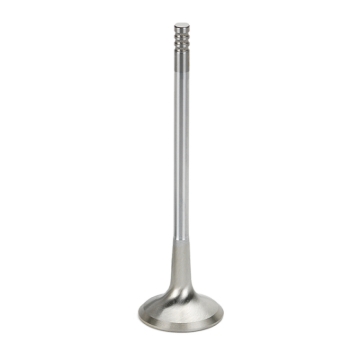 Picture of Supertech SPT Exhaust Valves - VWEVI-1002T