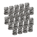 Picture of Supertech SPT Dual Valve Springs Valve Springs, Retainers - SPR-TC25D-24