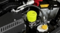 Picture of Perrin Performance PA Oil Filter - PSP-ENG-716NY
