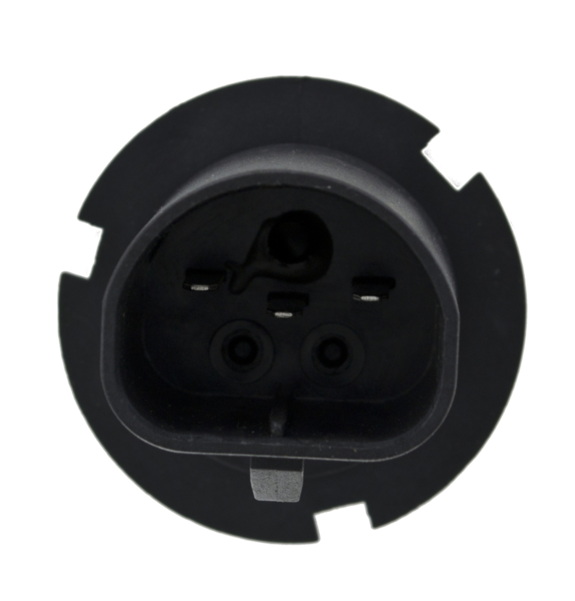 Picture of HELLA HB5 Design Series Halogen Light Bulb