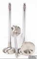 Picture of GSC Power Division GSC Intake Valves-STD - 2092-01