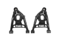 Picture of UMI Performance UMI Lower Control Arms - 4031-B