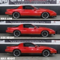 Picture of UMI Performance UMI Lowering Springs - 206575-3-R