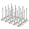 Picture of Supertech SPT Exhaust Valves - BMEVI-1065-20