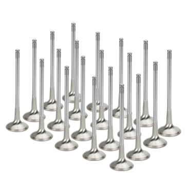 Picture of Supertech SPT Exhaust Valves - BMEVI-1065-20