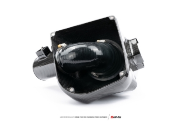 Picture of AMS Air Intakes Short Ram Air Intakes - AMS.39.08.0001-1