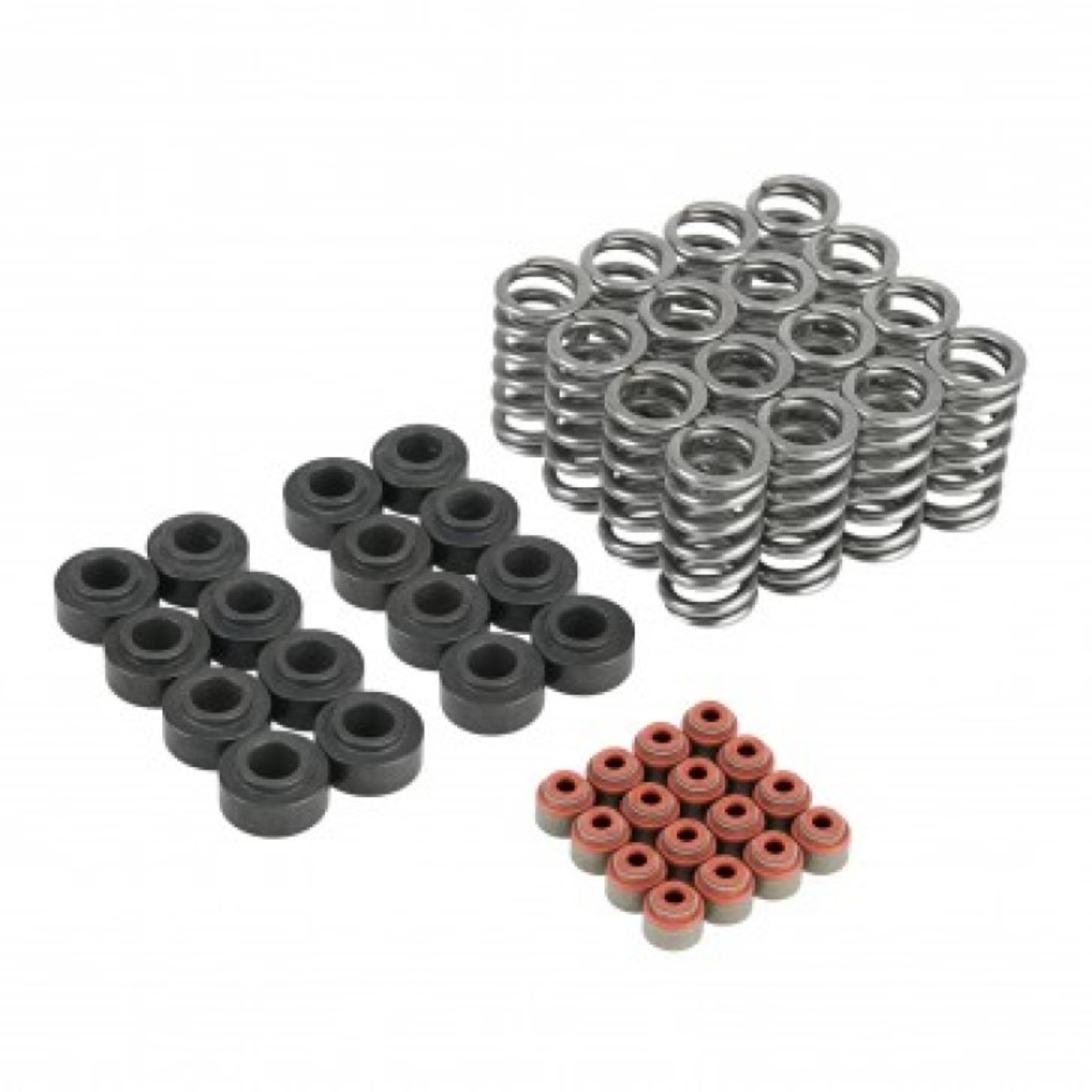 Picture of Skunk2 Racing SK Valve Spring Base Kits Valve Springs, Retainers - 313-05-9100