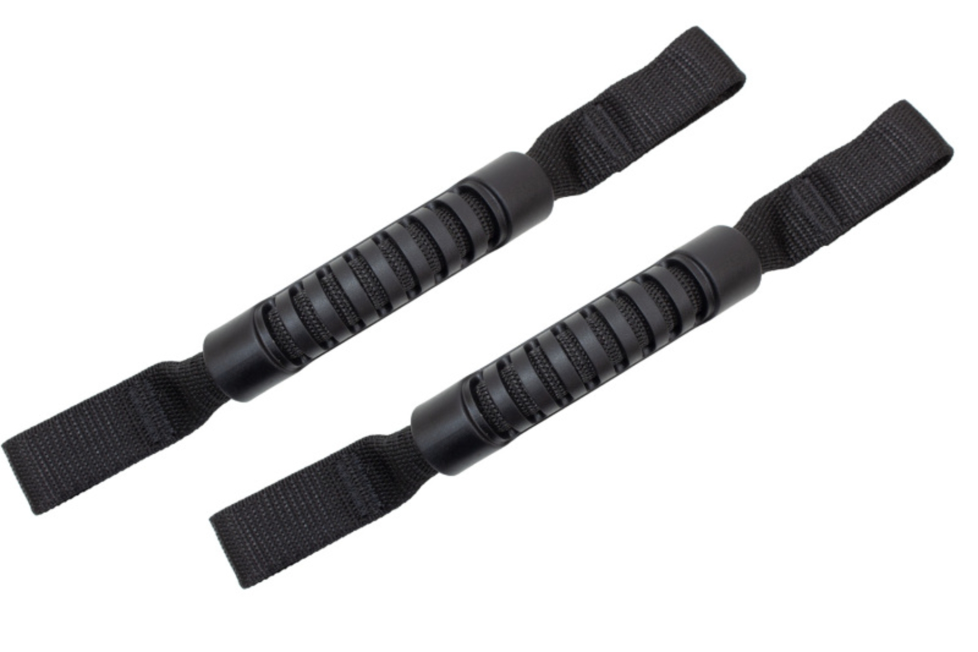Picture of Fishbone Offroad FBO Grab Handles Dash & Interior Trim - FB55152
