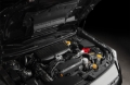 Picture of COBB Alternator Cover Engine Covers - 446600