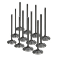 Picture of Supertech SPT Exhaust Valves - BMEVI-1054S-HS-1-12