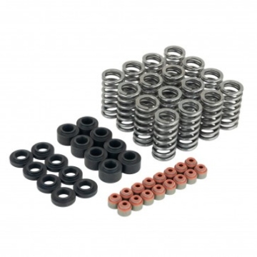 Picture of Skunk2 Racing SK Valve Spring Base Kits Valve Springs, Retainers - 313-05-9400