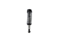Picture of Ford Racing FR Shocks Shocks and Struts - M-18001-RAF