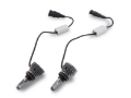 Picture of Raxiom RAX Bulbs - U1420