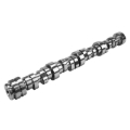 Picture of Godzilla Stage 3 Hydraulic Roller