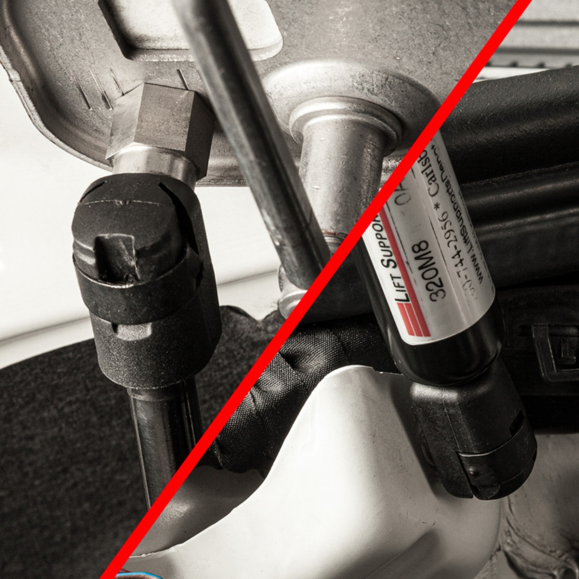 Picture of COBB Hood Struts - 8V3600