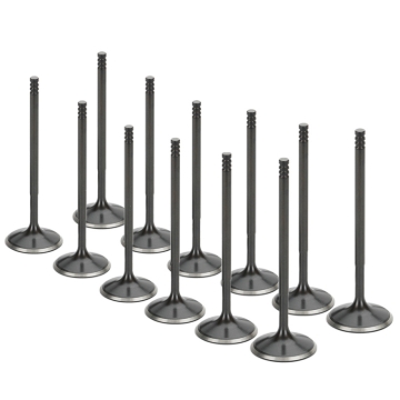 Picture of Supertech SPT Intake Valves - BMIVN-1006L-12