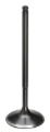 Picture of Supertech SPT Intake Valves - FEIVN-328-T