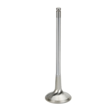 Picture of Supertech SPT Exhaust Valves - ST-27047
