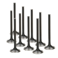 Picture of Supertech SPT Exhaust Valves - VWEVN-1035-10