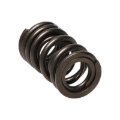 Picture of Manley Performance MAN Valve Spring Kits Valve Springs, Retainers - 22150-16