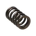 Picture of Manley Performance MAN Valve Spring Kits Valve Springs, Retainers - 22165-16