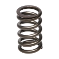 Picture of Manley Performance MAN Valve Spring Kits Valve Springs, Retainers - 22190-16