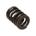 Picture of Manley Performance MAN Valve Spring Kits Valve Springs, Retainers - 22110-16