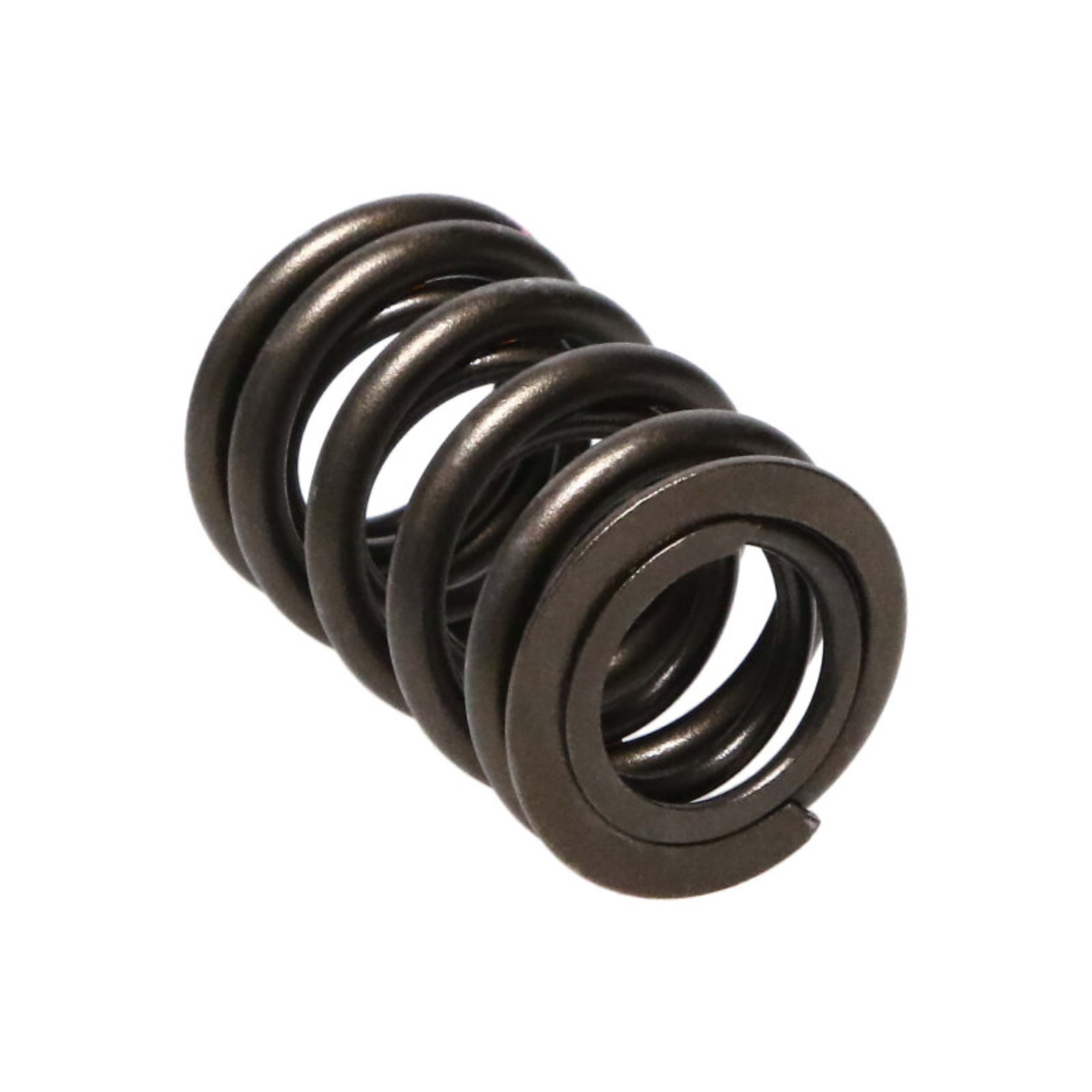 Picture of Manley Performance MAN Valve Spring Kits Valve Springs, Retainers - 22110-16