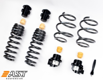 Picture of AST Lowering Springs - ASTALS-21-004