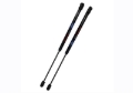 Picture of Ford Racing FR Hood Lift Kits Hood Struts - M-16826-B