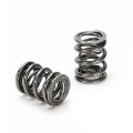 Picture of Supertech SPT Dual Valve Springs Valve Springs, Retainers - SPR-V2093-4